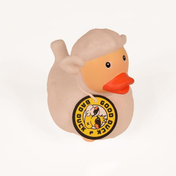 White Sheep Duck